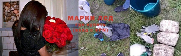 прущий лед Алзамай