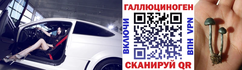сколько стоит Гурьевск Псилоцибиновые грибы Cubensis
